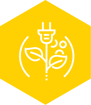 ����ИI�I��